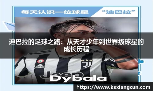 乐鱼体育APP