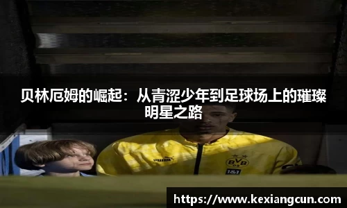 乐鱼体育平台
